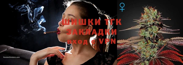 гидра Инта