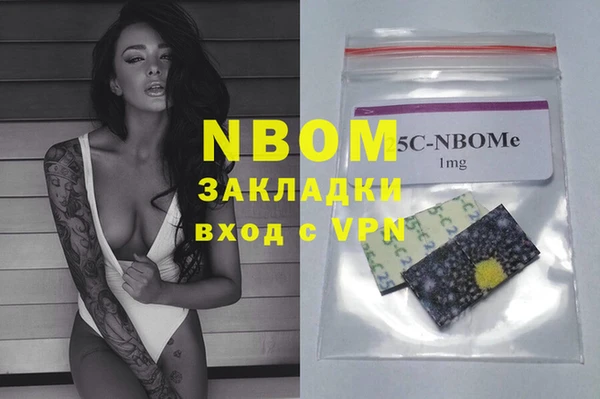 гидра Инта