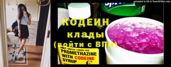 МДПВ Иннополис