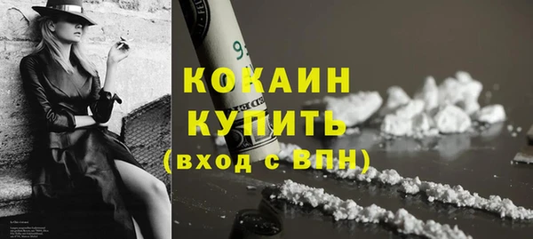 гидра Инта