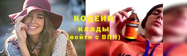 гидра Инта