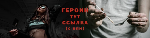 гидра Инта