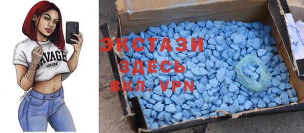 гидра Инта