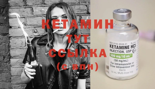 гидра Инта