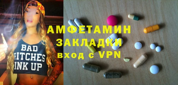 гидра Инта