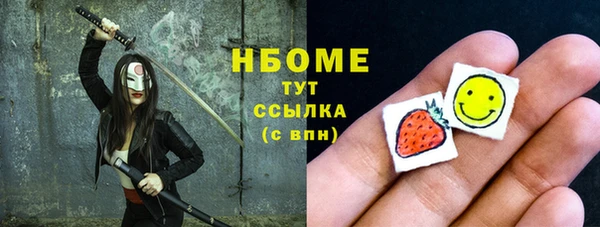 гидра Инта