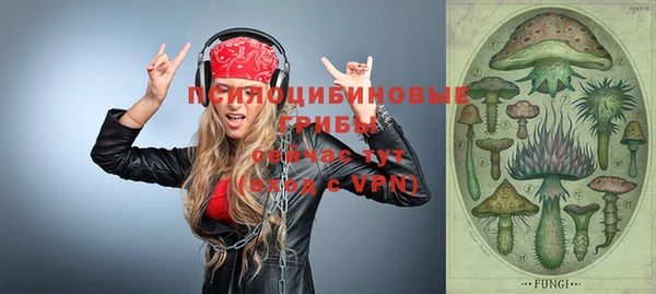 мескалин Инсар