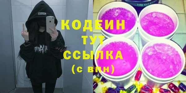 МДПВ Иннополис